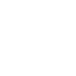 IDSurveyorIconWhite