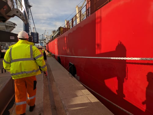 PXL_20250203_113603374 PXL_20250203_113603374