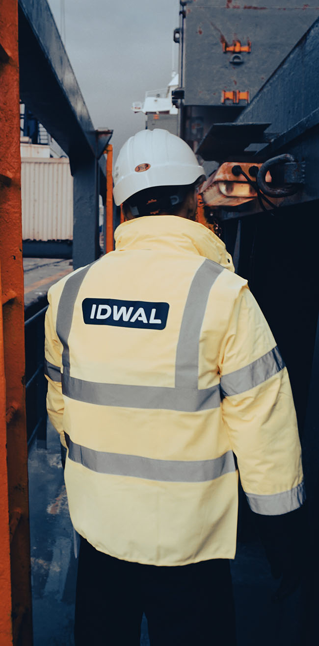 IdwalSurveyor_Skyscraper IdwalSurveyor_Skyscraper